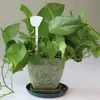 Etiquetas de Identificación para Accesorios de Macetas, Etiquetas para Plantas, Etiquetas para Plantas en Maceta, Macetas Verdes para Plantas, Etiquetas Escribibles, Aspersores para Flores