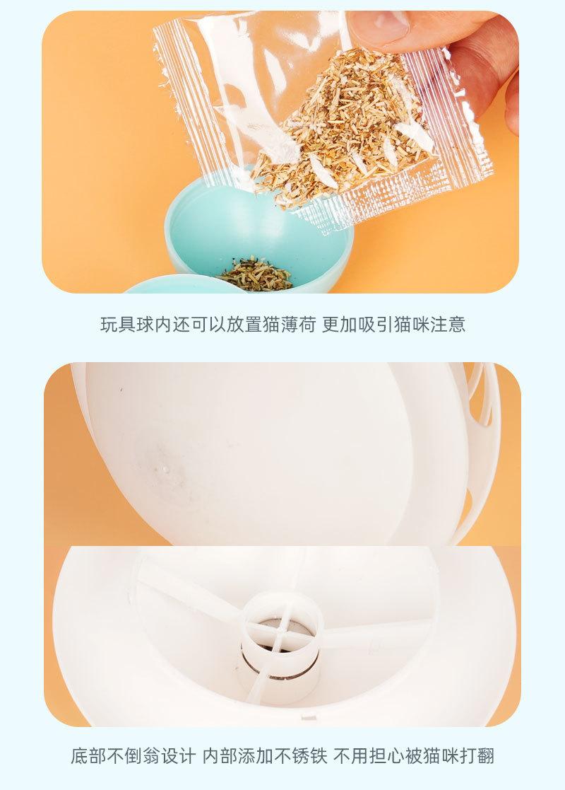猫玩具逗猫棒.jpg