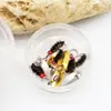 Isca Giratória com Lantejoulas para Pesca de Mosquitos Fly Fishing Gancho Modificado Semente de Melão Giratória Argola em Oito Composta Micro Isca