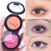 Asha Reya Olhos Monocromáticos Noble Pegasus Sombra Cor Perolada Brilho Palco Brilho Fino Sombra Sombra Cor Placa de Maquiagem
