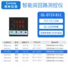 Controlador de temperatura, presión y nivel de líquido de doble circuito y doble haz de luz con dos instrumentos de visualización y dos entradas de señal 485