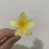 Explosões no Vietnã 4cm Flor de Ovo Grampo de Cabelo Flor de Bauhinia Presilha de Cabeça Alta Presilha de Tubarão Acessórios de Cabelo Atacado