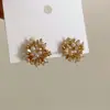 Aretes de Fuegos Artificiales Circonita Perla Diseño Femenino Sentido de Diseño Nicho Retro Personalidad Simple Versátil Elegantes Aretes de Moda Aretes