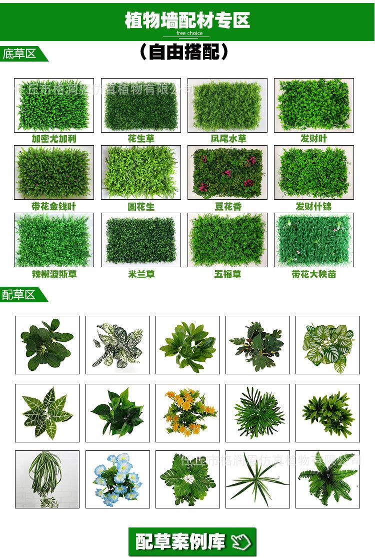 植物墙20180925版_07.jpg