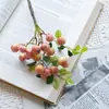 Flores Artificiales de la Fábrica de Frutas de la Cosecha, Pared de Rosas Flores Falsas, Plantas Verdes al por Mayor, Manualidades para Decoración de Bodas, Ins Transfronterizo