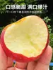 Yunnan Zhaotong Cidade Doce de Rocha Coração Maçã Feia 2001 Fresca Caixa Inteira Colhida Frescamente Enviada Presente Naturalmente Madura China