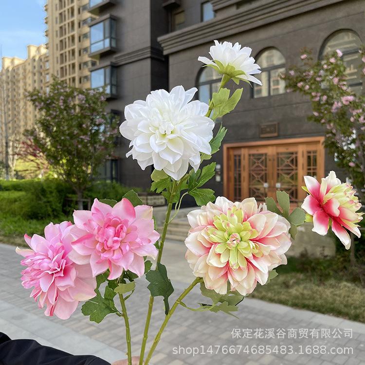 主图 4.JPG