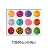 Arte de Uñas 12 Colores Purpurina Color Rex Perlas Lentejuelas Pequeñas Polvo de Concha Papel de Concha Terciopelo Polvo Mixto Grueso