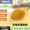 Extracto en Polvo de Morinda Officinalis, Polisacárido de Morinda Officinalis Soluble en Agua, Extracto Vegetal, Materia Prima de Grado Alimenticio, Polvo de Doble Uso Alimenticio y Medicinal