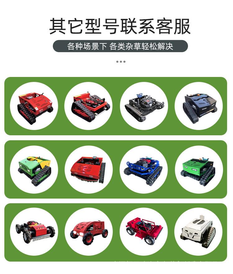 黑狮800详情页_19.jpg