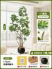 Nuevo Lujo Ligero Planta Verde Pata de Pato Madera de Pie Árbol Falso Grande Interior Sala de Estar Decoración Planta Biónica