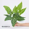 Plantas Verdes Artificiales Paisajismo Plantas Falsas Plantas en Maceta Hoja de Tortuga Árbol del Dinero Palma del Viajero Palma Areca Planta Potos Arreglo Floral de Pared