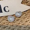 Pendientes de Perla Artificial Redonda Irregular de Circonita de Aguja Plateada Estilo de Lujo de Entrada de Nicho Pendientes Versátiles a la Moda Pendientes Exquisitos