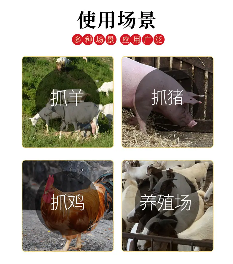 详情_07.jpg