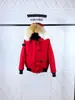 Outono e Inverno de 2026 Popular Penas de Ganso e Pato Grande Série Glacier 02 Jaqueta de Voo Penugem de Pato Branco Estilo Casal