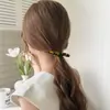 Pinza de Resorte Antideslizante de Acetato con Patrón de Carey Retro Estilo Francés, Fijador de Cabello Versátil para Viajes Diarios para Mujeres