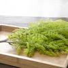 Parede de plantas artificiais para interior, venda direta da fábrica, pinho rabo de peixe de 7 galhos, folha de samambaia, decoração de casamento e casa, flor artificial, flor de plástico