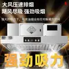 Máquina Purificadora de Fumaça de Óleo Personalizada Tudo-em-Um Coifa de Exaustão Comercial em Aço Inoxidável Equipamento de Cozinha Hotel Cantina Purificação Sucção Grande