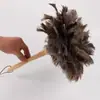 Palo Juguete para Gatos con Pluma de Avestruz, Juguete Resistente a Mordiscos con Pluma Natural para Gatitos, Herramienta de Mano para Entretener Mascotas, Autoentretenimiento para Gatos