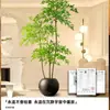 Planta Artificial Verde Nandina Bambu Planta Falsa High-End Luxo Leve Árvore Decorativa para Sala de Estar Ornamentação de Chão Interna Grande em Vaso