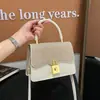 Bolsas de Alta Gama para Mujer 2026 Primavera Nuevo Estilo Bolso de Hombro para Viajes Cotidianos Moda Diseño Sencillo de Nicho Bolso de Hombro Único Cruzado