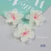 Dança Folklorística da Flor Rosa de Cinco Pontas Flor de Dedo Clássica Dança de Performance para o Dia das Crianças com Adereços de Mão e Argolas