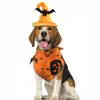 Set de Ropa de Halloween para Mascotas, Sombrero de Murciélago, Babero de Calabaza, Disfraz de Gato, Accesorios Divertidos