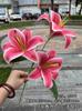 Comércio exterior simulação 3D Lírio 3 Perfume Lírio laranja branco casamento decoração de casa fotografia flor artificial atacado