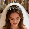 Diadema Super Flash de Pedrería Transfronteriza, Gama Alta, Lujo Ligero, Accesorios Versátiles para el Cabello de Boda, Diadema de Flor de Ciruelo y Hoja de Diamante Hecha a Mano al por Mayor