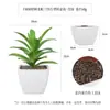 Más de 100 Tipos de Combinaciones de Plantas Suculentas Artificiales en Maceta Mini, Ventas Transfronterizas Populares, Estilo Sencillo Decoración del Hogar Flores Artificiales y Plantas Verdes, Directo de la Fábrica Fuente