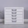 Gabinete de corte para patología, gabinete de almacenamiento de portaobjetos, gabinete de organización hospitalaria para bloques de cera, gabinete de almacenamiento para bloques de cera, gabinete para chips de cera, gabinete de almacenamiento para película de secado