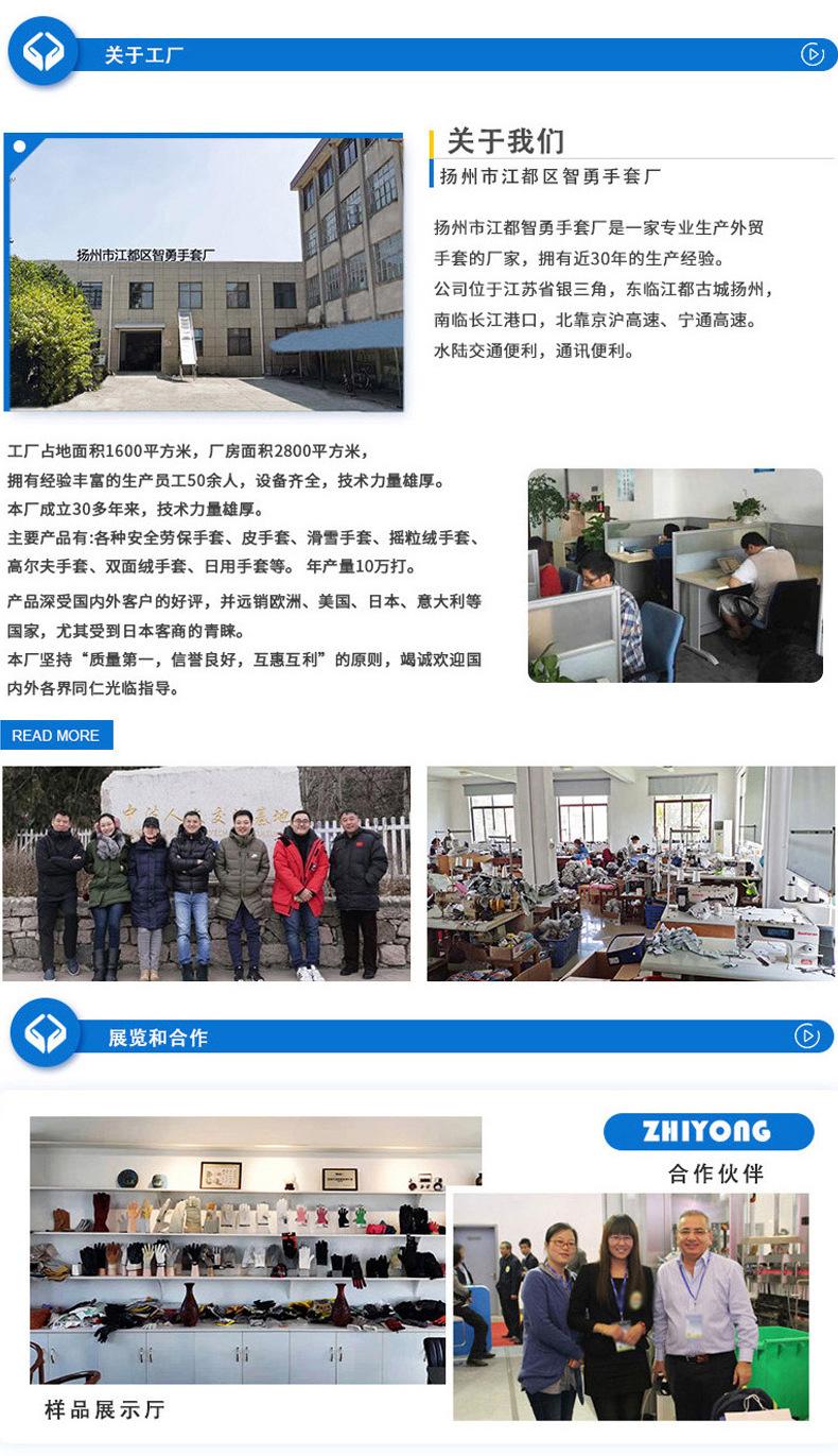 伯希和详情页_15