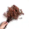 Buquê de Gipsofila Seca Preservada Flores Secas Brancas Flores Reais Secas ao Ar Flores Grandes Decoração de Sala de Estar Arranjo de Flores Flores para Fotografia de Casamento