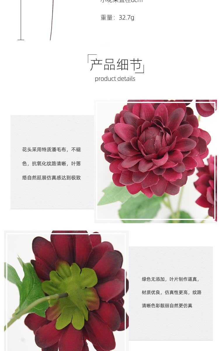 详情_02.jpg