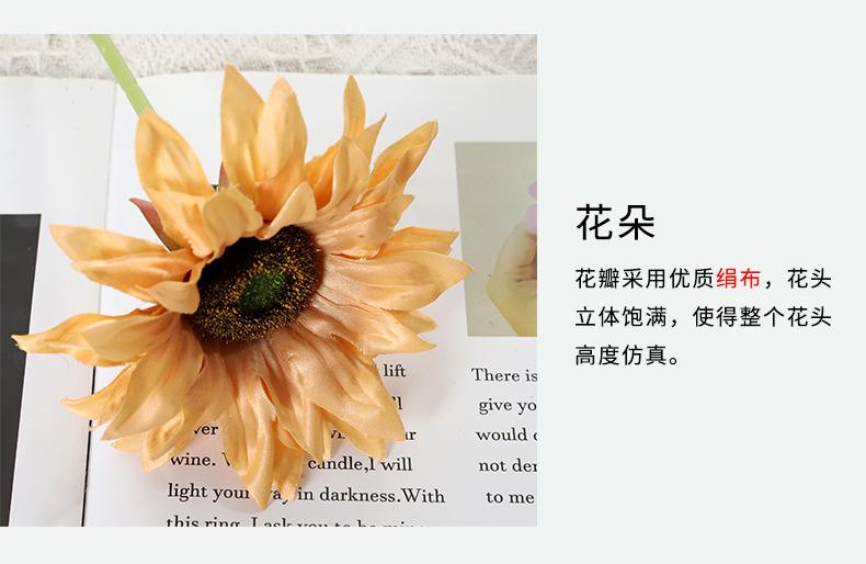 小单枝向日葵详情-兰桂坊（1）_14