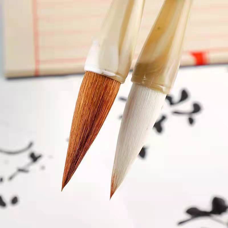 O1CN01IEerxf1zkSyRo2ZWE_!!2023