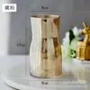 Jarrón de vidrio electrochapado de lujo ligero, recipiente transparente moderno y simple para flores hidropónicas, decoración de alto valor estético para sala de estar y mesa de comedor