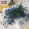 Flores y Hojas Decorativas, Gypsophila, Fondo de Boda, Flores de Cosmos, Regalo, Plantas de Paisajismo, Arreglos Florales de Boda, Campanilla, Metabo