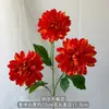 Flores de Simulación 3 Cabezas Kyle Dahlia Crisantemo Decoración de Boda Hogar Hotel Adornos Decorativos Venta al por mayor Transfronteriza Flores de Seda
