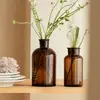Jarrón de Vidrio Marrón Vintage Estilo Ins Nórdico Transparente Marrón Arreglo Floral Hidropónico Recipiente para Flores Frescas Decoración