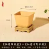 Vaso Quadrado Criativo Planta Suculenta Árvore da Fortuna Bonsai Jardinagem Especial Vaso de Flor de Resina Vaso de Plástico Simples