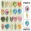 20 piezas de imanes de refrigerador magnéticos suaves con hojas de plantas realistas, imanes decorativos impermeables para pizarras y archivadores