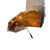 Ventas Directas de Fábrica Creativo Colorido Paraguas Mediano Luminoso Paraguas con Iluminación LED Señal Nocturna Mango Largo Transparente