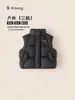 Bangxuan Huzhou Zhi Li Ropa Infantil Chaleco de Plumas Infantil Tres Pruebas Color Sólido Invierno 2026 Cuello Alto Cálido Chaleco para Niñas