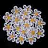 Parche bordado de flor de cinco pétalos de malla bicolor, accesorio para el cabello lindo y súper adorable, accesorio para ropa, muñeca, zapato y bolso