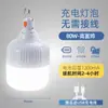 Lâmpada LED recarregável portátil para uso externo, estilo camping, barraca de feira noturna, luz de emergência recarregável via USB para iluminação em caso de queda de energia.