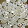 Venta al por mayor de Botones de Concha Natural de Caracola y Botones de Concha Redondos de Tres Ojos Accesorios de Gama Alta