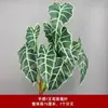 Pico de bambu de galho alto céu estrelado dente-de-leão verde escuro verde claro estilo floresta celebração de casamento decoração marcador de corredor arranjo de flores teto alto material de folha
