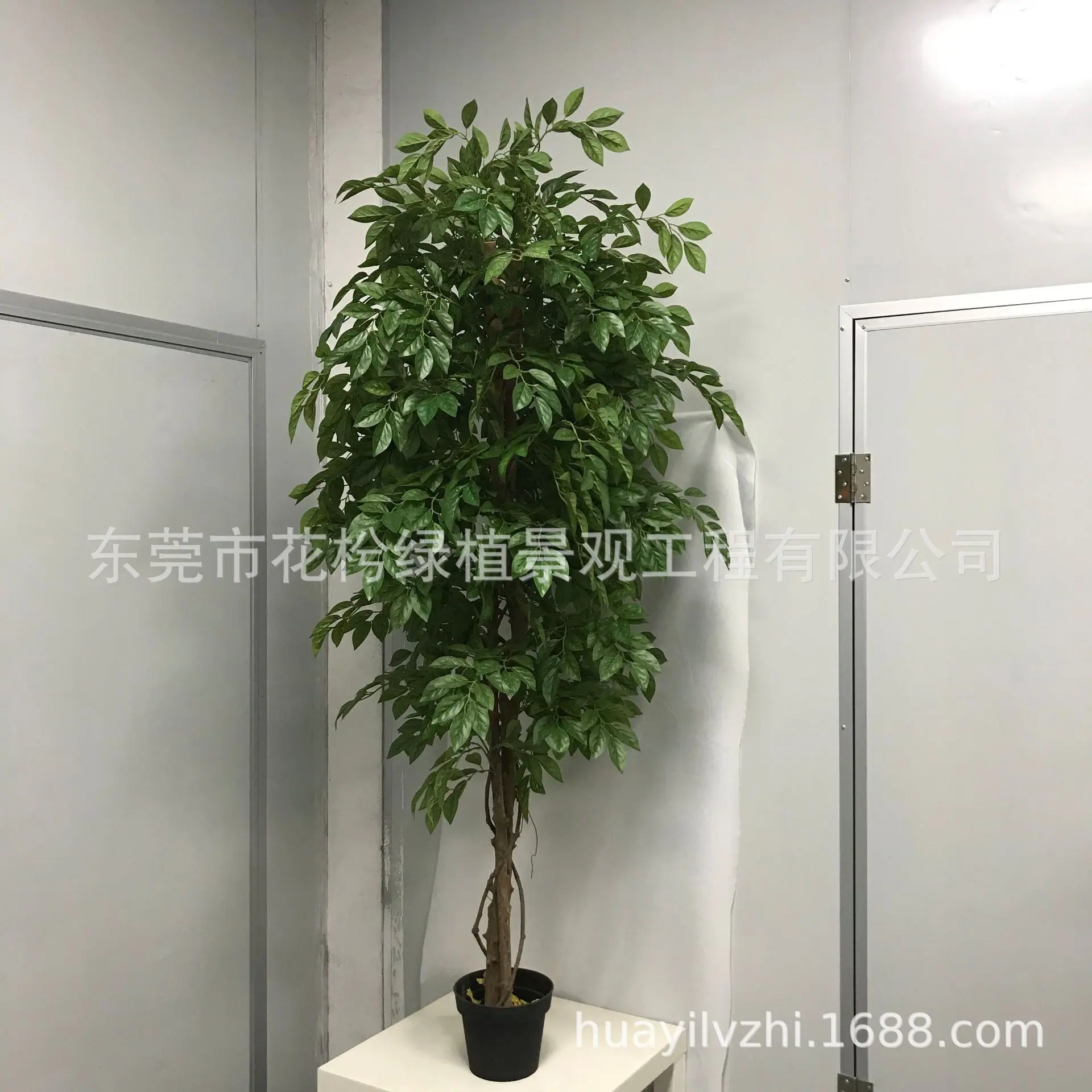 微信图片_202105280944538