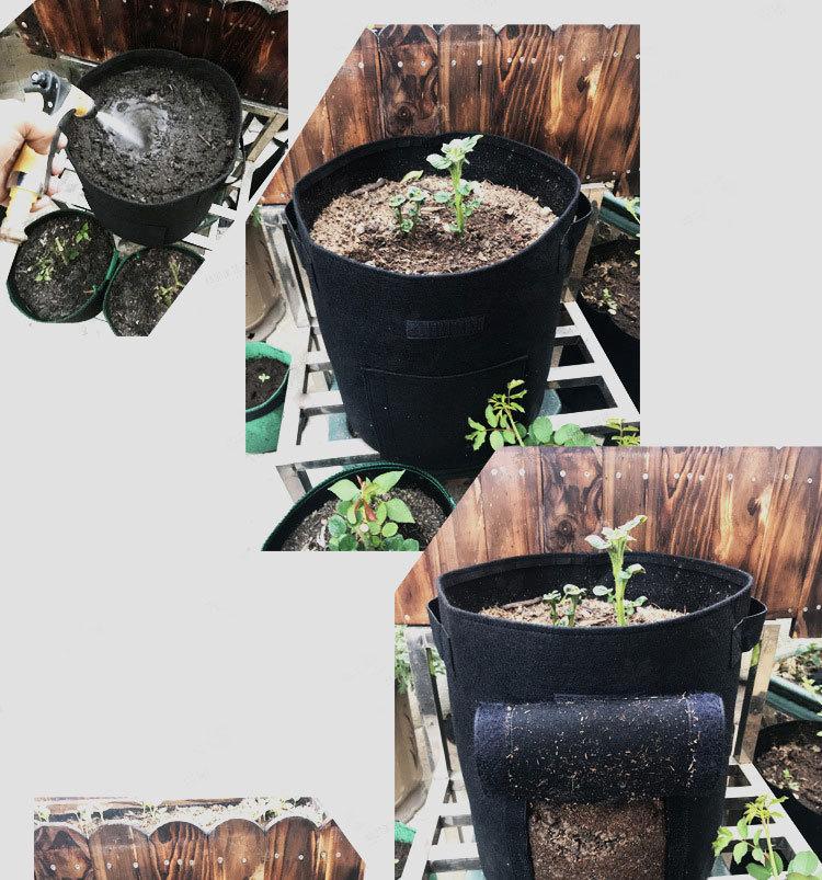 10730948753_491840608